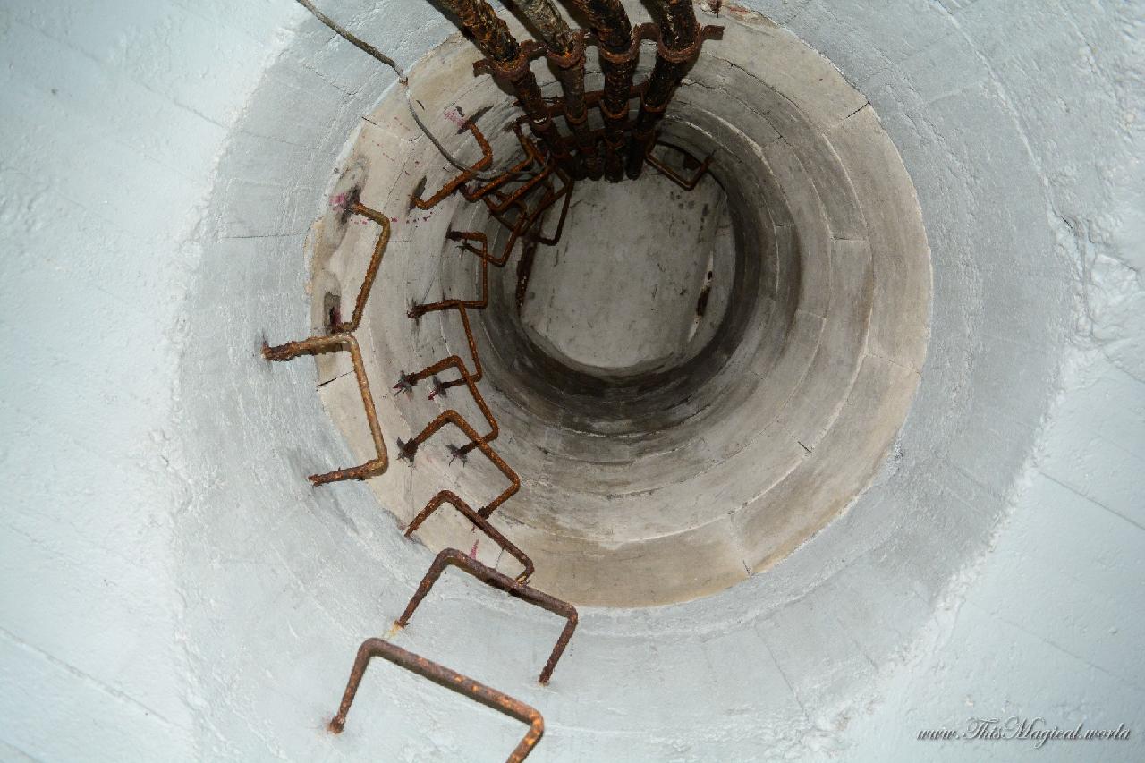 Ladder to an observation platform