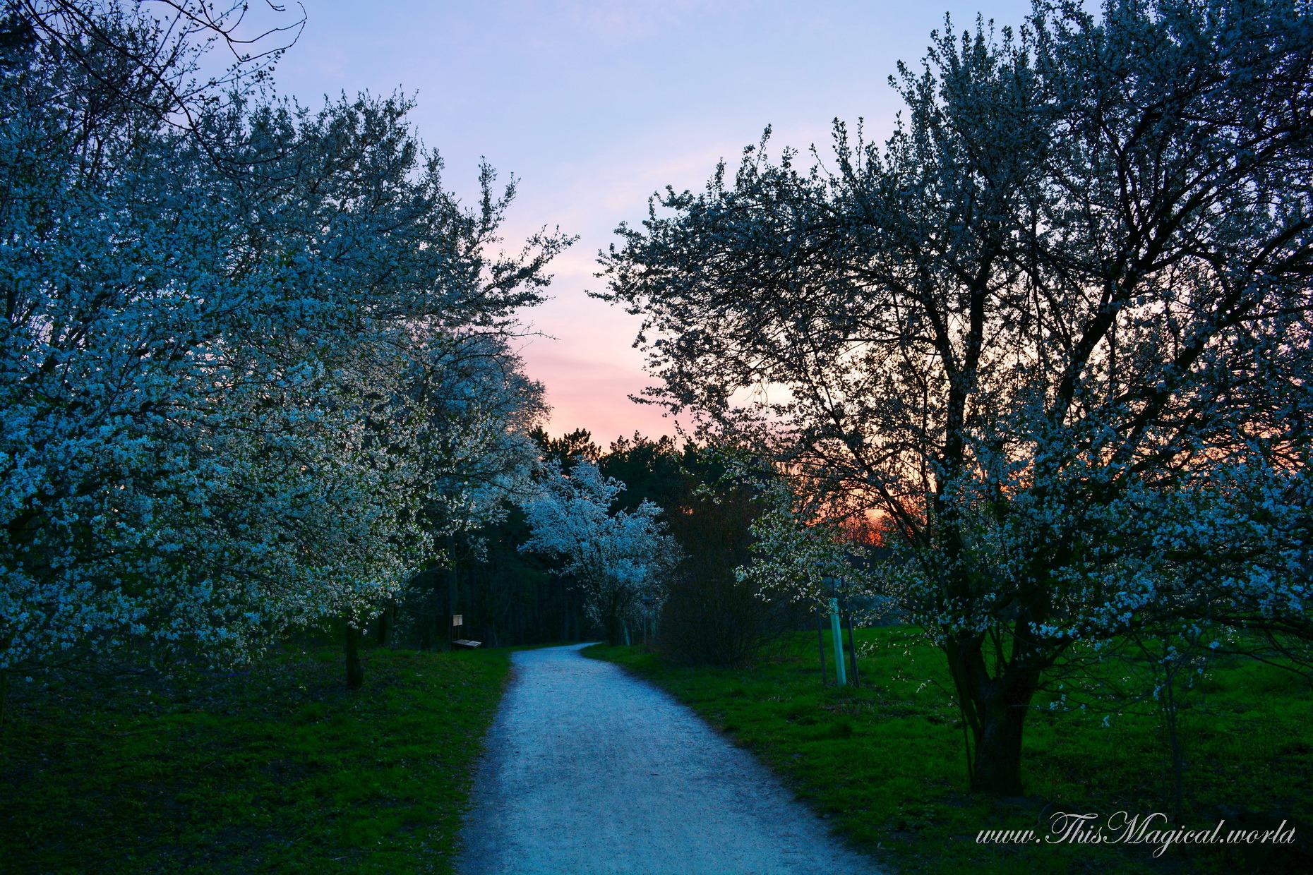 Spring in Prague's Prokop's valley