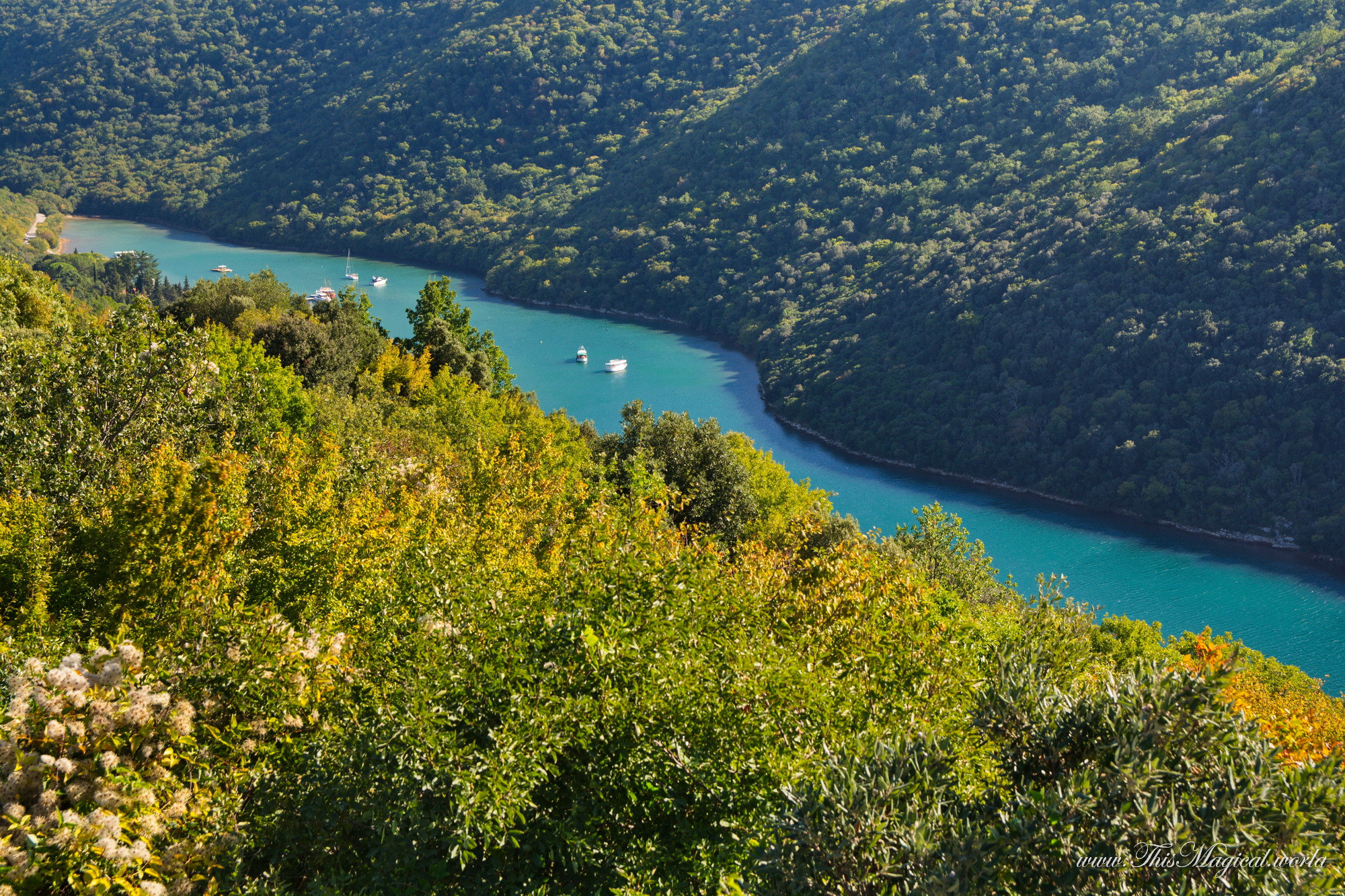 Lim bay, Istria, Croatia