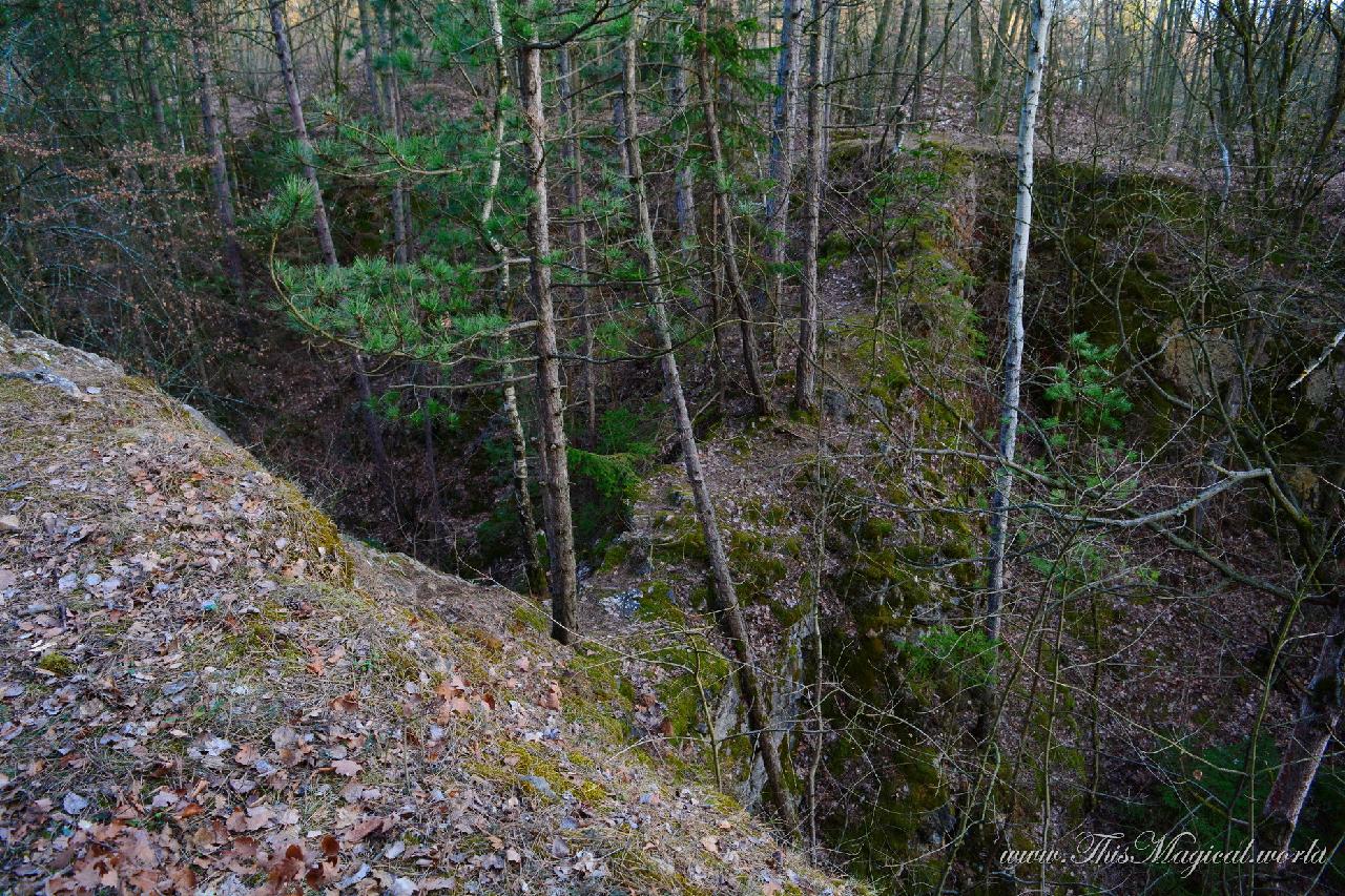 Smaller quarry covered with forest