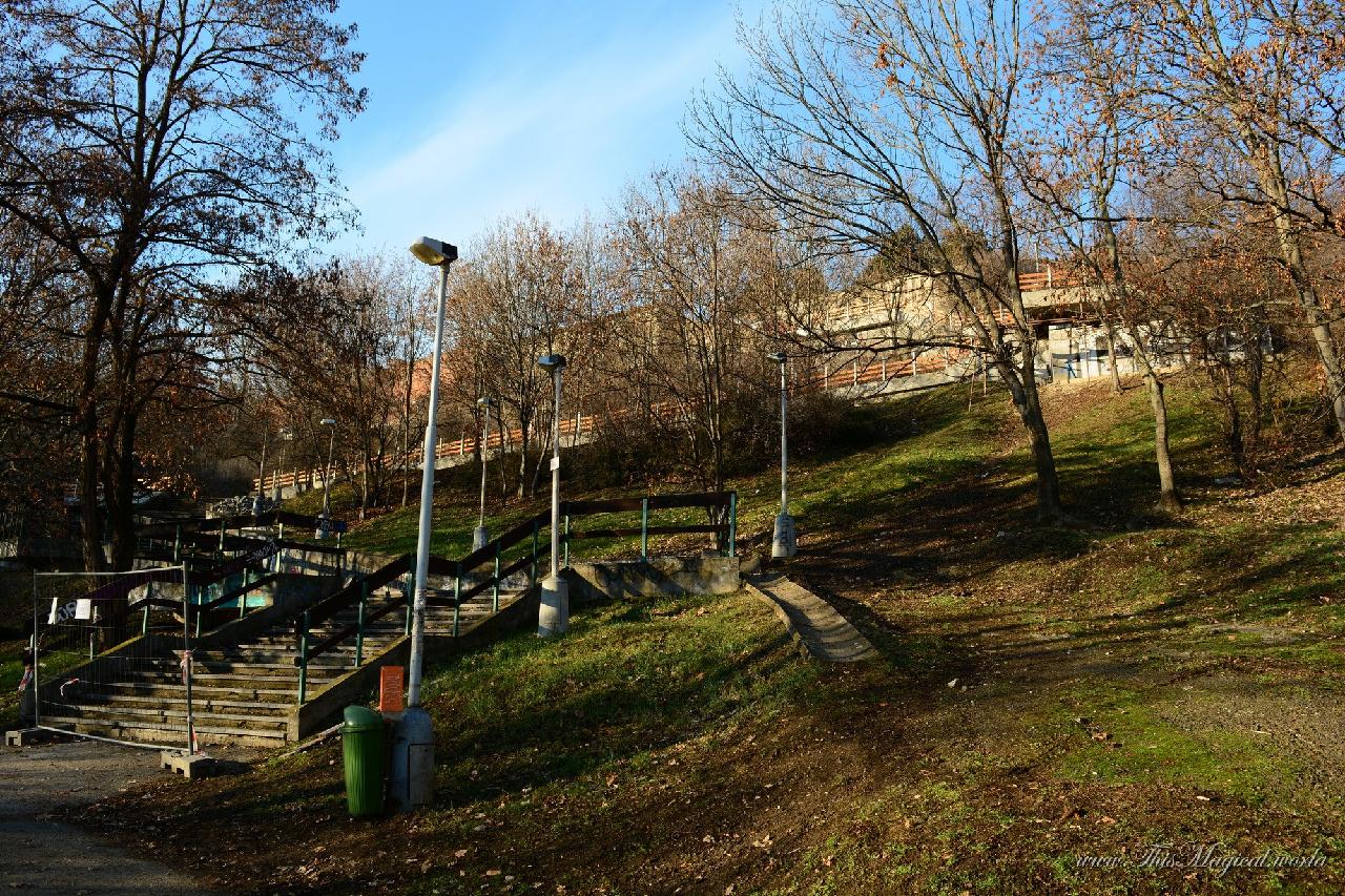 The bunker is located under the Folimanka park