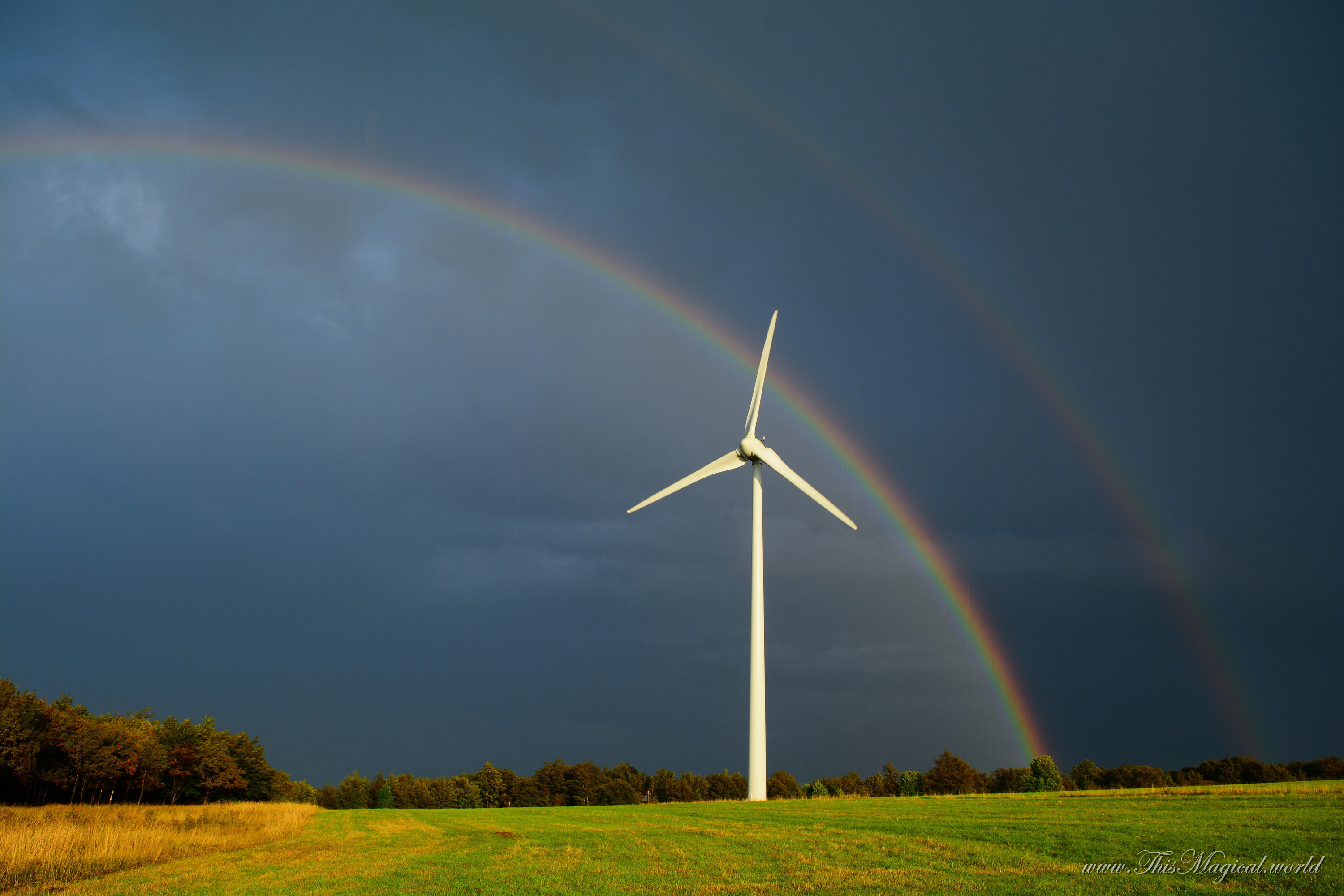 The Science of Double Rainbows