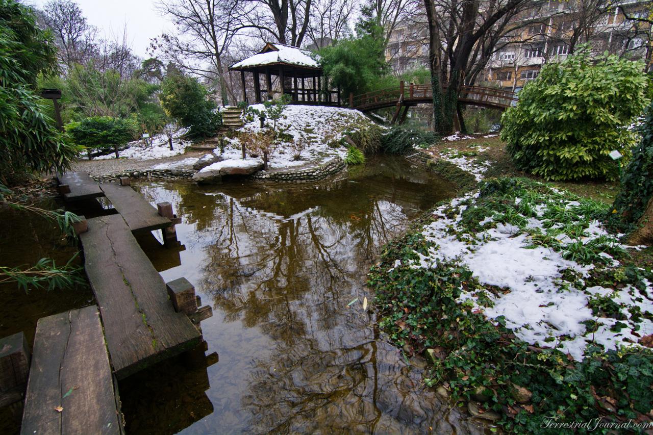 Japanese Garden